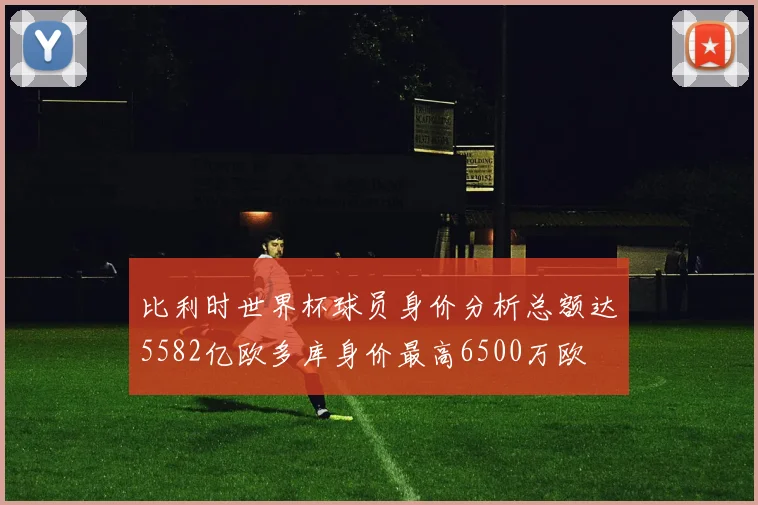 比利时世界杯球员身价分析总额达5582亿欧多库身价最高6500万欧