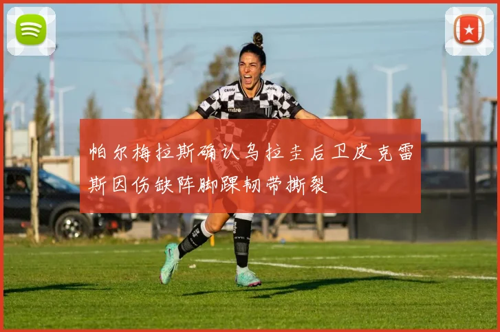 帕尔梅拉斯确认乌拉圭后卫皮克雷斯因伤缺阵脚踝韧带撕裂
